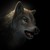 :iconmlpdesertwolf: