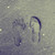 :iconmlphoto: