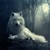 :iconmlplover4: