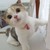 mm1146 :iconmm1146: