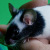 :iconmmarmelade: