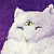 :iconmmartinsillustration: