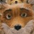 :iconmmauricius: