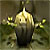 :iconmmitch07: