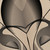 :iconmmondragon: