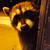 :iconmnbks56: