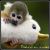 :iconmndt2: