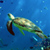 :iconmnews: