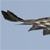 :iconmnphotobug: