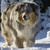 :iconmoa711: