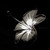 :iconmoberemptphotography: