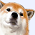 :iconmobius2684: