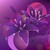:iconmobrighteyes: