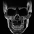 :iconmoc1105: