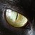 :iconmockingjaymelody:
