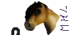 :iconmodel-horse-love: