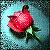 :iconmodelcass117: