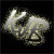 :iconmodern-faerie: