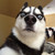 :iconmodjichan: