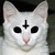 :iconmodrat: