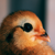 :iconmodstrob: