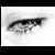 :iconmodusvivendi88: