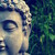 :iconmodvitnirphotography: