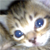 :iconmoedy: