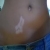 :iconmoegocanes: