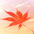 :iconmoemoekyuun:
