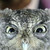 :iconmoen: