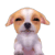 :iconMoFholic:
