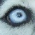 :iconmoganraye: