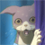 :iconmogu101: