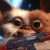 :iconmogwaiii: