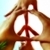:iconmohaddisa: