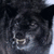 :iconmohawkwarrior: