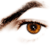 :iconmohstorms: