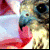 :iconmoi-dxb: