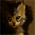 :iconmokalyne: