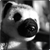 :iconmokapictures: