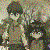 :iconmokinseto:
