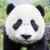 mokkof :iconmokkof: