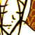:iconmoksey:
