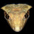 :iconmokus-1: