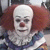 :iconmolko13: