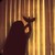 :iconmolly--rosee:
