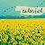 :iconmolly-pop: