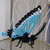 :iconmolly3d: