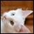 :iconmollygirl145: